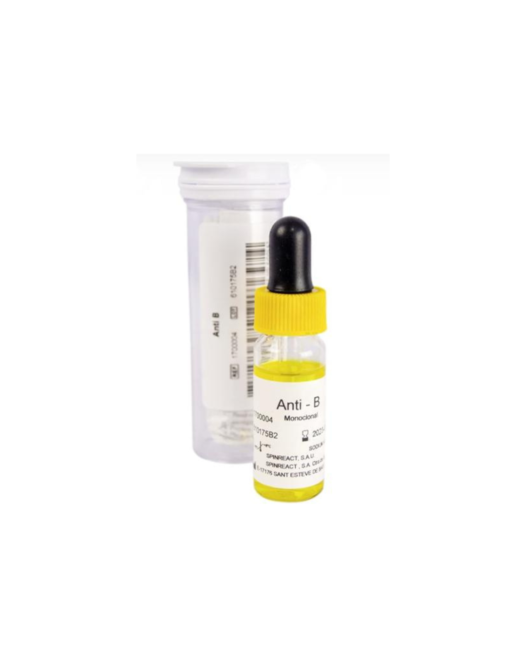 ANTI B MONOCLONAL